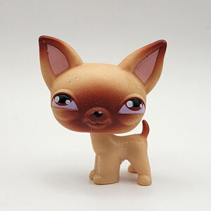 Vintage Littlest Pet Shop Rare #1 Chihuahua Tan/Brown Authentic 2004 Dog LPS